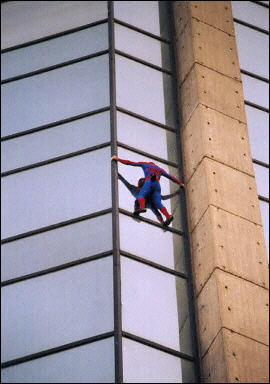 ho spider man!!
