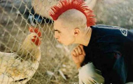 coq + punk