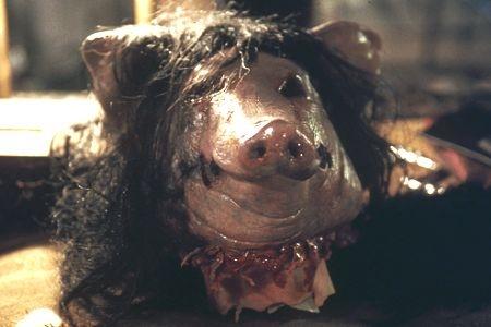 pig de saw