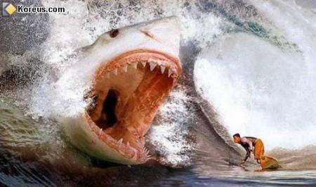 trucage  ou  pa !!