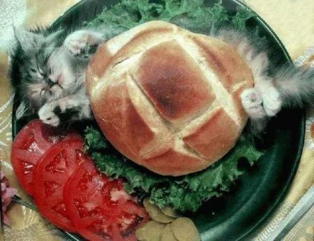 miam miam !!  ce sandwich